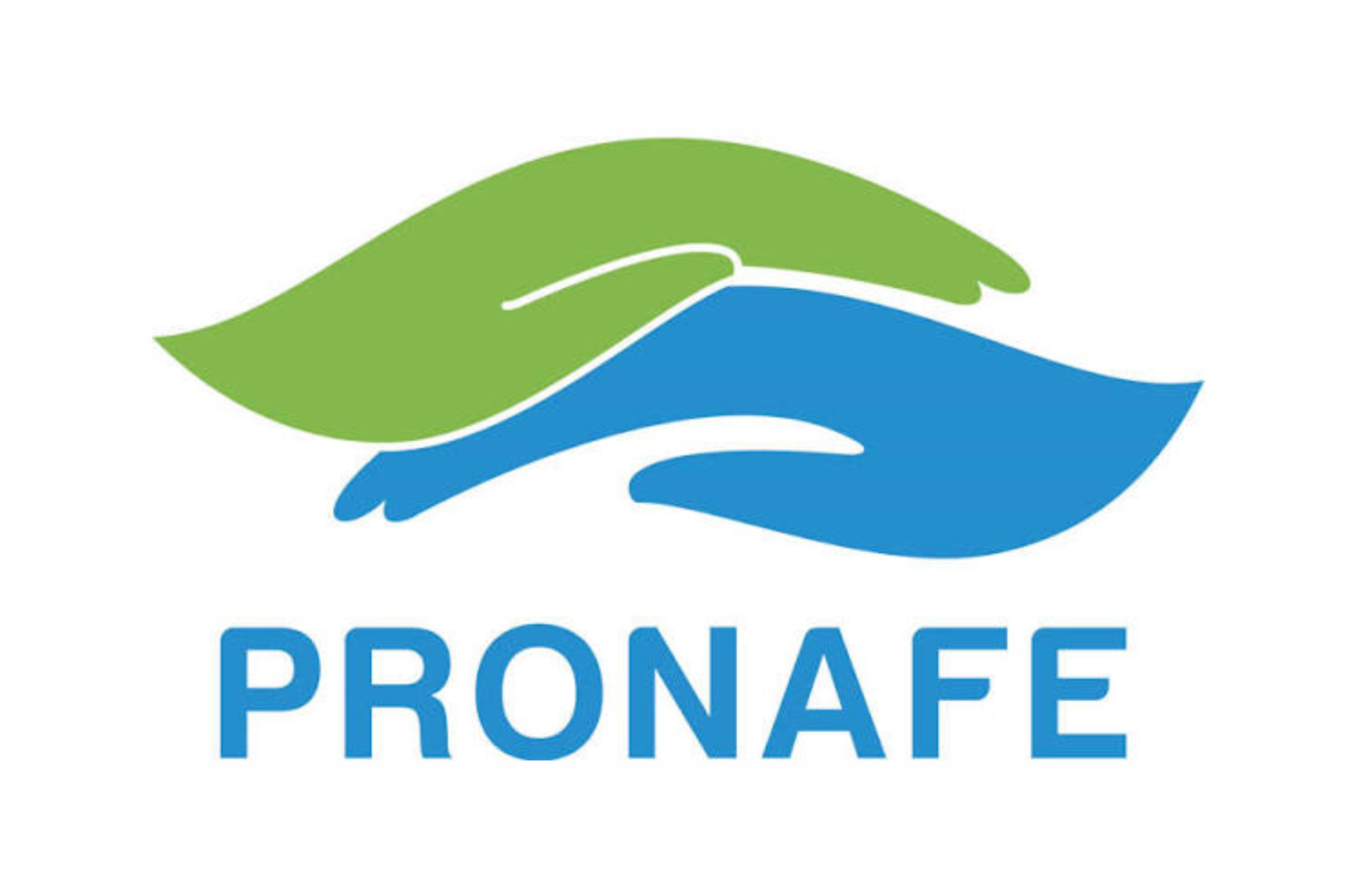 Programa Nacional de Formación de Enfermería