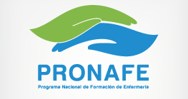 Programa Nacional de Formación de Enfermería